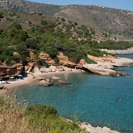 Villa Olive Garden