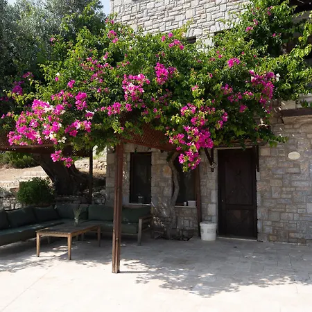 Вилла Olive Garden *