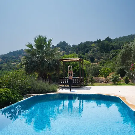 Olive Garden * Datca