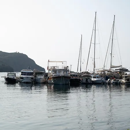Olive Garden * Datca