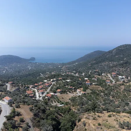 Olive Garden Вилла Датча