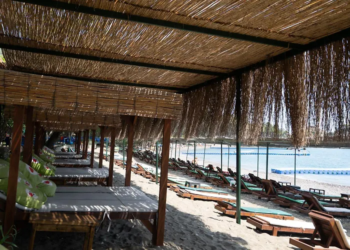 Вилла Olive Garden Датча