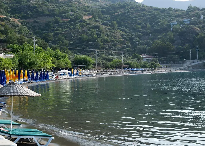 Olive Garden * Датча