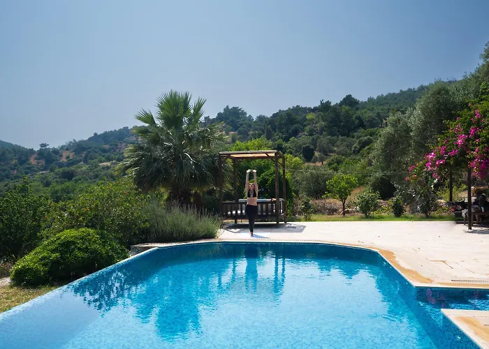 Olive Garden * Датча