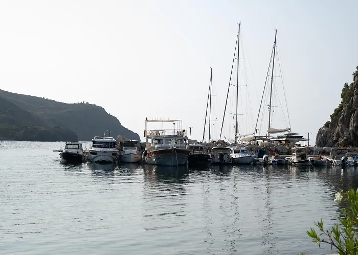 Olive Garden * Датча