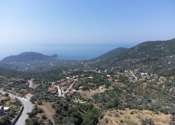 Olive Garden Vila Datça