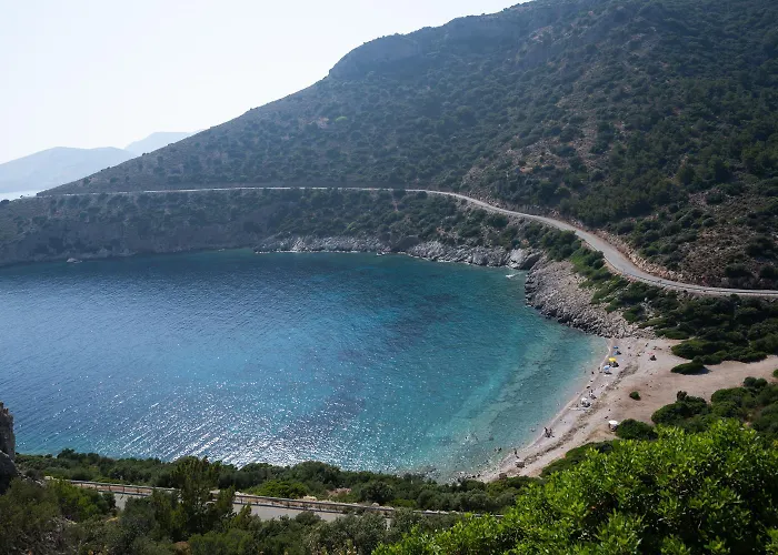 Olive Garden * Датча