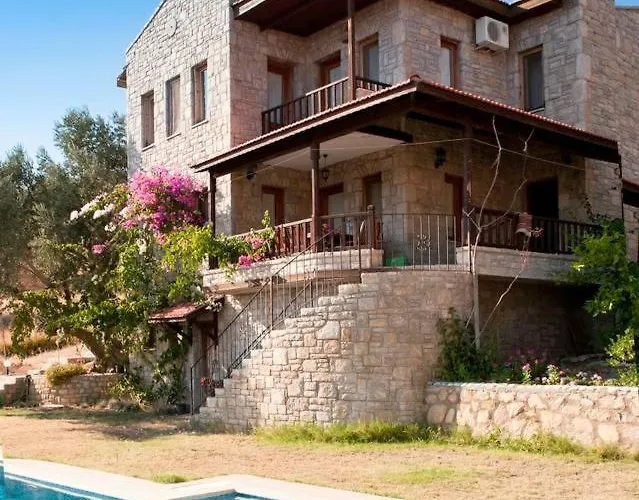 Olive Garden * Датча