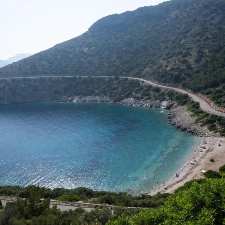 Olive Garden * Датча