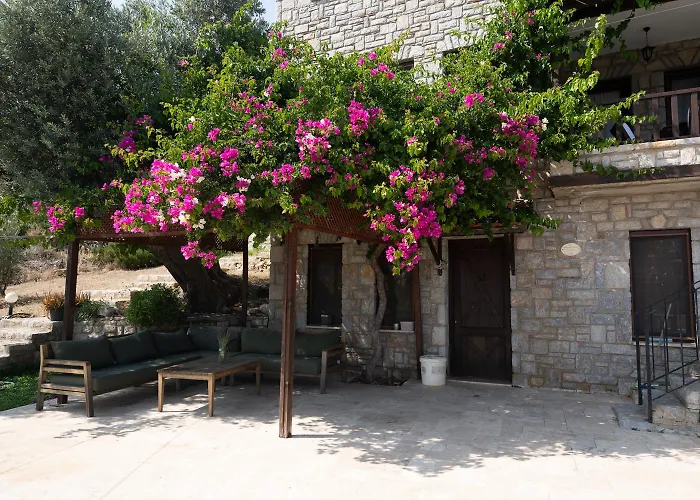 Villa Olive Garden *